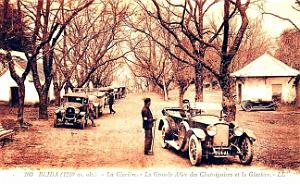 1791- Blida - La Glaciere - Allee des Chataigniers
